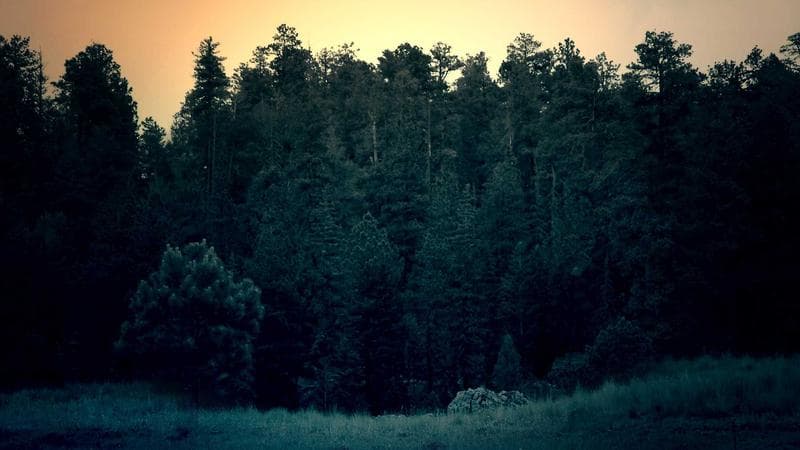 AI-powered video production workflow showing script-to-screen transformation with cinematic visuals